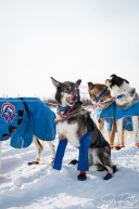 2026 Cripple Checkpoint