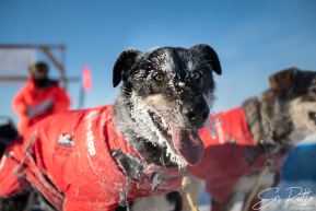 2026 Cripple Checkpoint