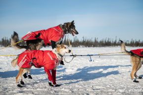 2026 Cripple Checkpoint