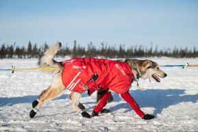 2026 Cripple Checkpoint