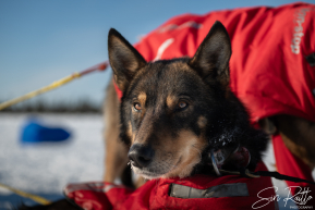 2026 Cripple Checkpoint