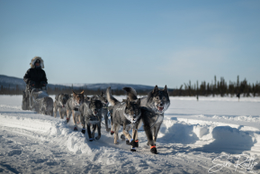 2026 Cripple Checkpoint