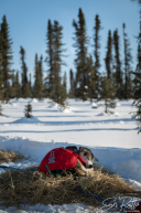 2026 Cripple Checkpoint