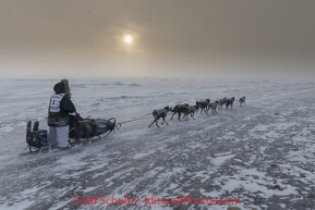 Paige Drobny runs on the Bering Sea close in to Nome on Wednesday March 12, during the 2014 Iditarod Sled Dog Race.PHOTO (c) BY JEFF SCHULTZ/IditarodPhotos.com -- REPRODUCTION PROHIBITED WITHOUT PERMISSION