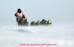 Tuesday March 13, 2012 Dallas Seavey on the sea ice just prior to arriving in Nome. Iditarod 2012.