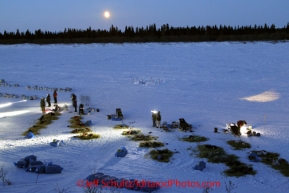 Tuesday March 13, 2012   The top 5 teams rest on the Fish River as the moon hangs on the horizon in White Mountain. Iditarod 2012.