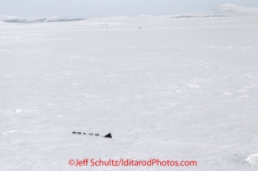 Tuesday March 13, 2012  Ken Anderson on Golovin Bay nearing White Mountain. Iditarod 2012.