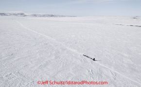 Tuesday March 13, 2012  A team comes down the hill toward Golovin Bay   Iditarod 2012.