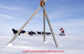 Tuesday March 13, 2012 Dallas Seavey on the sea ice just prior to arriving in Nome. Iditarod 2012.