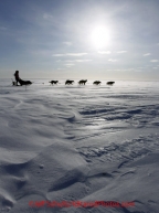 Tuesday March 13, 2012 Dallas Seavey on the sea ice just prior to arriving in Nome. Iditarod 2012.