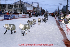 Tuesday March 13, 2012   Third place finisher Ramey Smyth runs down the chute at the finish line in Nome.  Iditarod 2012.