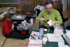 Tuesday March 13, 2012  Veterinarian Deb Volnec (L) readies ointment for dogs at White Mountain. Iditarod 2012.