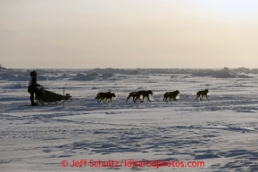 Jessica Hendricks runs on the Bering Sea several miles before the finish line in Nome on Wednesday March 13, 2013. Iditarod Sled Dog Race 2013Photo by Jeff Schultz copyright 2013 DO NOT REPRODUCE WITHOUT PERMISSION