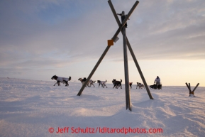 Martin Buser runs on the trail several miles before the finish line in Nome on Wednesday March 13, 2013. Iditarod Sled Dog Race 2013Photo by Jeff Schultz copyright 2013 DO NOT REPRODUCE WITHOUT PERMISSION