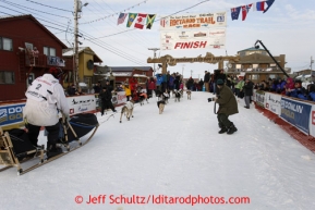 Martin Buser and team cross the finish line in Nome in 17th place on Wednesday March 13, 2013. Iditarod Sled Dog Race 2013Photo by Jeff Schultz copyright 2013 DO NOT REPRODUCE WITHOUT PERMISSION