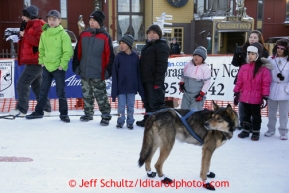 Young Nome students watch Jessica Hendricks dogs in the finish chute in Nome on Wednesday March 13, 2013. Iditarod Sled Dog Race 2013Photo by Jeff Schultz copyright 2013 DO NOT REPRODUCE WITHOUT PERMISSION