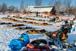 Teams rest on the baseball field in the afternoon at the Huslia checkpoint on Friday March 13, 2015 during Iditarod 2015.  (C) Jeff Schultz/SchultzPhoto.com - ALL RIGHTS RESERVED DUPLICATION  PROHIBITED  WITHOUT  PERMISSION