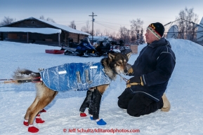 Volunteer Brad VanMeter holds Mitch Seavey's leaders in the evening at the Huslia checkpoint on Friday March 13, 2015 during Iditarod 2015.  (C) Jeff Schultz/SchultzPhoto.com - ALL RIGHTS RESERVED DUPLICATION  PROHIBITED  WITHOUT  PERMISSION