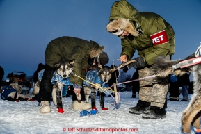 Volunteer vets Betsy Oesch and Sheri Thompson check Mitch Seavey's team in the evening at the Huslia checkpoint on Friday March 13, 2015 during Iditarod 2015.  (C) Jeff Schultz/SchultzPhoto.com - ALL RIGHTS RESERVED DUPLICATION  PROHIBITED  WITHOUT  PERMISSION