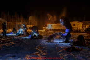 Volunteer vets examine Brian Wilmshurst 's team around 1 am at the Galena checkpoint on Friday March 13, 2015 during Iditarod 2015.  (C) Jeff Schultz/SchultzPhoto.com - ALL RIGHTS RESERVED DUPLICATION  PROHIBITED  WITHOUT  PERMISSION