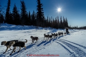 Pete Kaiser runs on a slough after leaving Galena in the morning on Friday March 13, 2015 during Iditarod 2015.  (C) Jeff Schultz/SchultzPhoto.com - ALL RIGHTS RESERVED DUPLICATION  PROHIBITED  WITHOUT  PERMISSION