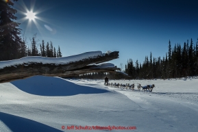 Jason Campeau runs on a slough after leaving Galena in the morning on Friday March 13, 2015 during Iditarod 2015.  (C) Jeff Schultz/SchultzPhoto.com - ALL RIGHTS RESERVED DUPLICATION  PROHIBITED  WITHOUT  PERMISSION