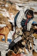 Volunteer Vet Dale Baker examines Richie Diehl dogs shortly after his arrival at the Unalakleet checkpoint on Sunday March 13th during the 2016 Iditarod.  Alaska    Photo by Jeff Schultz (C) 2016  ALL RIGHTS RESERVED