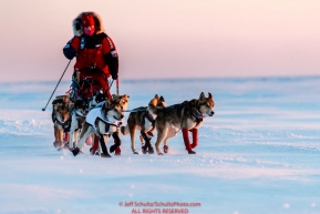 Aliy Zirkle runs on the sea ice of Norton Sound a few miles before the Koyuk checkpoint during the 2017 Iditarod on Monday evening at sunset  March 12, 2017.Photo by Jeff Schultz/SchultzPhoto.com  (C) 2017  ALL RIGHTS RESERVED