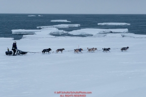 Jessie Royer runs on the sea ice with open water and icebergs in the backgroud as she makes her way toward the Nome finish line to place 3rd in the 2019 Iditarod sled dog race.Photo by Jeff Schultz/  (C) 2019  ALL RIGHTS RESERVED