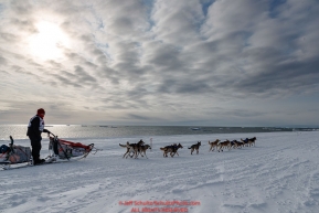 Aliy Zirkle runs on the Bering Sea ice near Nome with open water and icebergs in the background on her way to a 4th place finish of the 2019 Iditarod on Wednesday March 13Photo by Jeff Schultz/  (C) 2019  ALL RIGHTS RESERVED