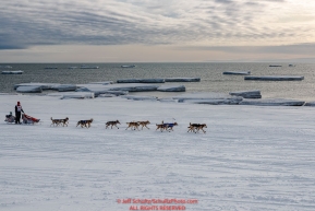 Aliy Zirkle runs on the Bering Sea ice near Nome with open water and icebergs in the background on her way to a 4th place finish of the 2019 Iditarod on Wednesday March 13Photo by Jeff Schultz/  (C) 2019  ALL RIGHTS RESERVED