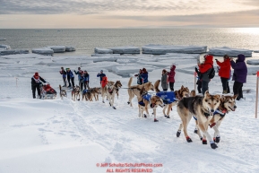 Aliy Zirkle runs off of the Bering Sea ice near Nome with open water and icebergs in the background with a crowd of spectators cheering her on as she heads to a 4th place finish of the 2019 Iditarod on Wednesday March 13Photo by Jeff Schultz/  (C) 2019  ALL RIGHTS RESERVED