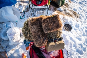 Sean Underwood's beaver mittens, early morning at Cripple, March 13th, 2020.