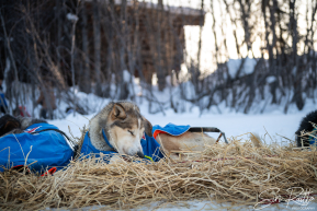 2026 Galena Checkpoint