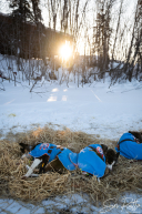 2026 Galena Checkpoint