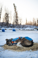 2026 Galena Checkpoint