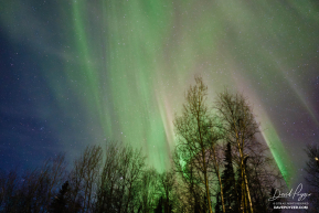 Northern Lights Over Ruby