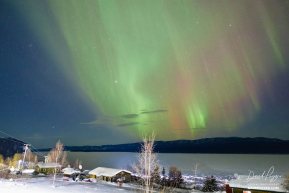 Northern Lights Over the Yukon