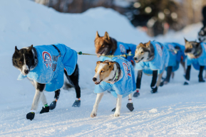 Mille Porsild's Team Arrives to Ruby