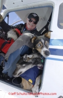 Wednesday March 14, 2012   Dropped dogs are brought in on volunteer pilot Jerry Wortley's Cessna 185 to Nome. Iditarod 2012.