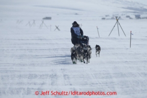 Richie Diehl runs on the trail a few miles from Nome in 30 mph winds on Thursday March 14, 2013 during the Iditarod Sled Dog Race 2013Photo by Jeff Schultz copyright 2013 DO NOT REPRODUCE WITHOUT PERMISSION