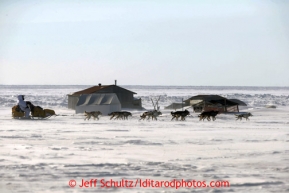 Matt Giblin runs on the trail a few miles from Nome in 30 mph winds on Thursday March 14, 2013 during the Iditarod Sled Dog Race 2013Photo by Jeff Schultz copyright 2013 DO NOT REPRODUCE WITHOUT PERMISSION