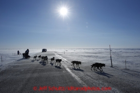 Richie Diehl crosses the Nome Road a few miles from Nome in 30 mph winds on Thursday March 14, 2013 during the Iditarod Sled Dog Race 2013Photo by Jeff Schultz copyright 2013 DO NOT REPRODUCE WITHOUT PERMISSION