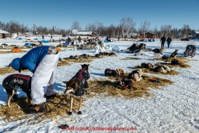 Christian Turner boots his dogs just prior to leaving in the afternoon at the Huslia checkpoint on Saturday  March 14, 2015 during Iditarod 2015.  (C) Jeff Schultz/SchultzPhoto.com - ALL RIGHTS RESERVED DUPLICATION  PROHIBITED  WITHOUT  PERMISSION