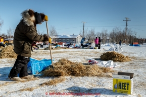 80-something year old George Yaska Sr. volunteers to rake straw in the afternoon at the Huslia checkpoint on Saturday  March 14, 2015 during Iditarod 2015.  (C) Jeff Schultz/SchultzPhoto.com - ALL RIGHTS RESERVED DUPLICATION  PROHIBITED  WITHOUT  PERMISSION