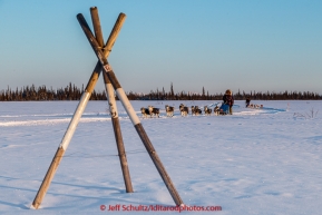 Lev Shvarts leads Marcelle Fressineau past a tripod trail marker as they run on a swamp a few miles before the Huslia checkpoint on Saturday  March 14, 2015 during Iditarod 2015.  (C) Jeff Schultz/SchultzPhoto.com - ALL RIGHTS RESERVED DUPLICATION  PROHIBITED  WITHOUT  PERMISSION