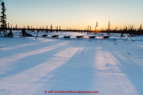 Lev Shvarts runs on the trail near sunset a few miles before the Huslia checkpoint on Saturday  March 14, 2015 during Iditarod 2015.  (C) Jeff Schultz/SchultzPhoto.com - ALL RIGHTS RESERVED DUPLICATION  PROHIBITED  WITHOUT  PERMISSION