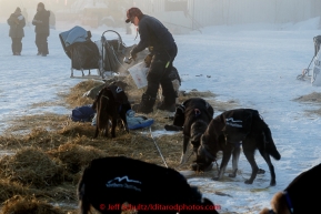 Martin Buser feeds his dogs just prior to leaving after his 24-hour layover in the morning at the Huslia checkpoint on Saturday  March 14, 2015 during Iditarod 2015.  (C) Jeff Schultz/SchultzPhoto.com - ALL RIGHTS RESERVED DUPLICATION  PROHIBITED  WITHOUT  PERMISSION