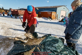 Volunteers Lucy Dorman picks up straw and dog food after a team leaves and Brita Heikkenen watches at the Elim checkpoint on Monday March 14th during the 2016 Iditarod.  Alaska    Photo by Jeff Schultz (C) 2016  ALL RIGHTS RESERVED
