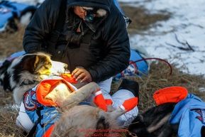 Ralph Johannessen boots his dogs just prior to leaving the Koyuk checkpoint on Monday March 14th during the 2016 Iditarod.  Alaska    Photo by Jeff Schultz (C) 2016  ALL RIGHTS RESERVED